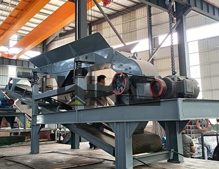 Small Rock Gold Processing Line Shipping To Canada